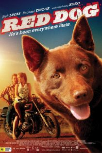 دانلود فیلم Red Dog 2011 دانلود فیلم Red Dog 2011