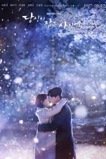 دانلود سریال While You Were Sleeping با زیرنویس چسبیده