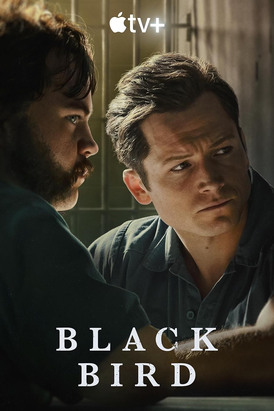 دانلود سریال Black Bird با زیرنویس چسبیده