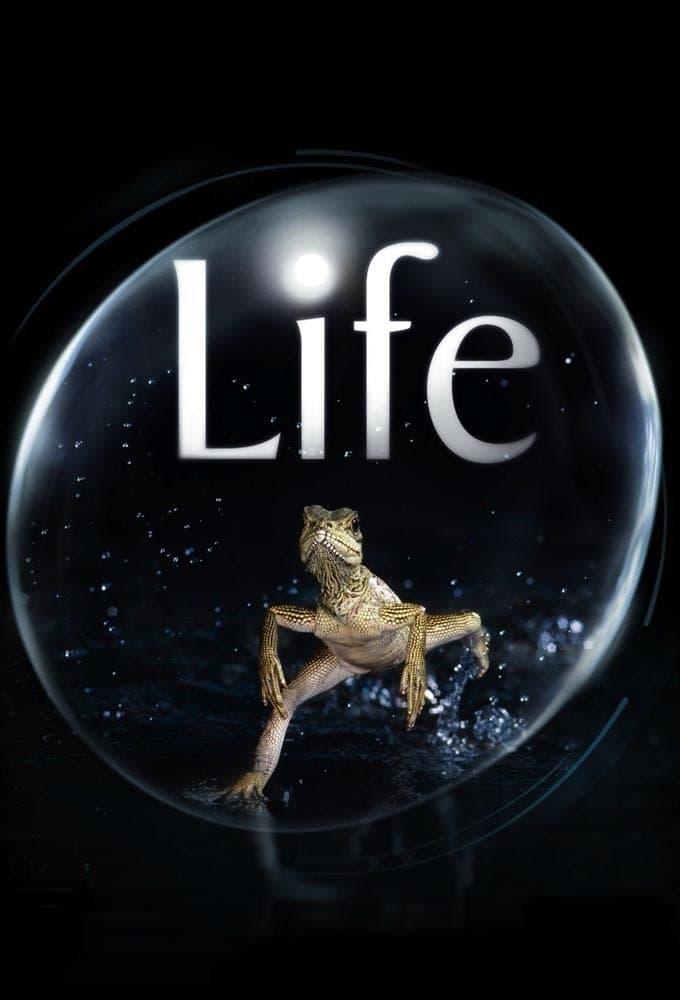 دانلود سریال Life با دوبله اختصاصی